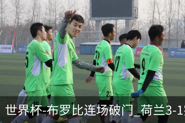 世界杯-布罗比连场破门 荷兰3-1突尼斯获小组头名将战摩洛哥